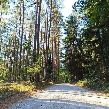 Mazurska Lesniczowka Nowy Zyzdroj Bed & Breakfast エクステリア 写真