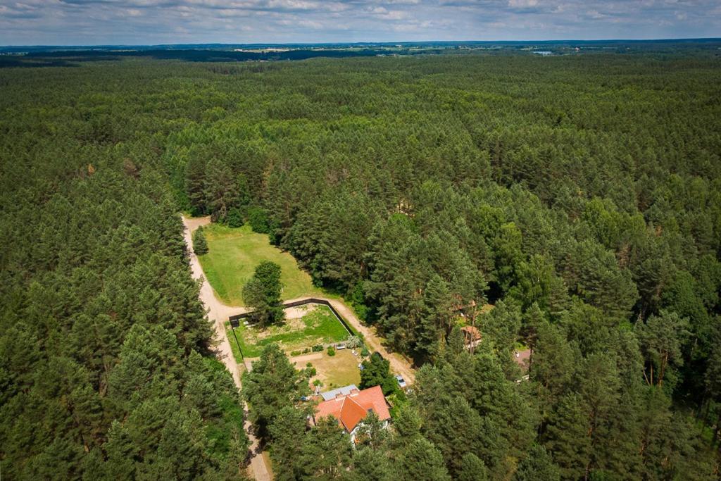 Mazurska Lesniczowka Nowy Zyzdroj Bed & Breakfast エクステリア 写真