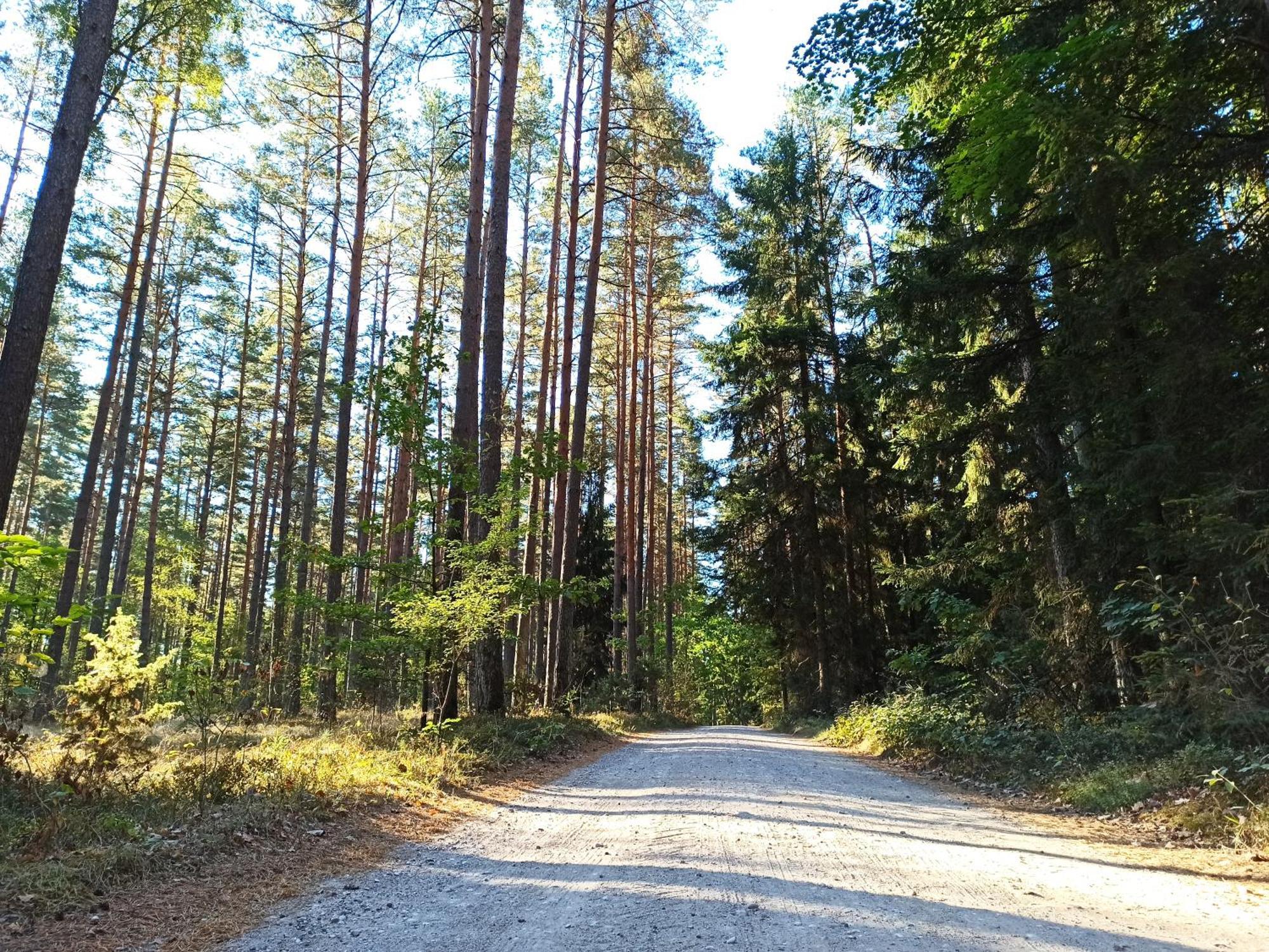 Mazurska Lesniczowka Nowy Zyzdroj Bed & Breakfast エクステリア 写真