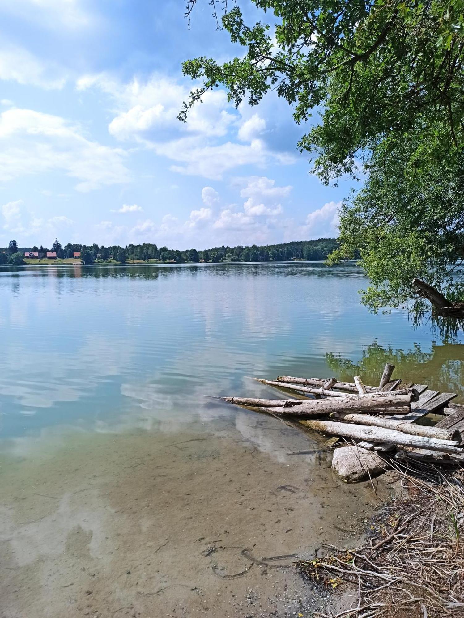 Mazurska Lesniczowka Nowy Zyzdroj Bed & Breakfast エクステリア 写真