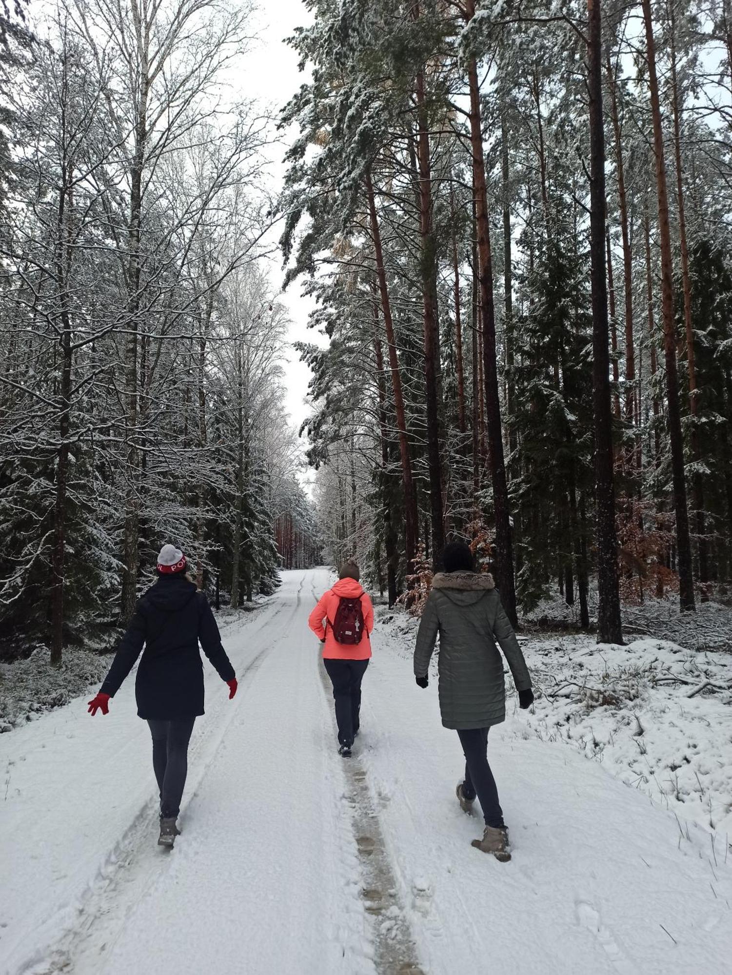 Mazurska Lesniczowka Nowy Zyzdroj Bed & Breakfast エクステリア 写真